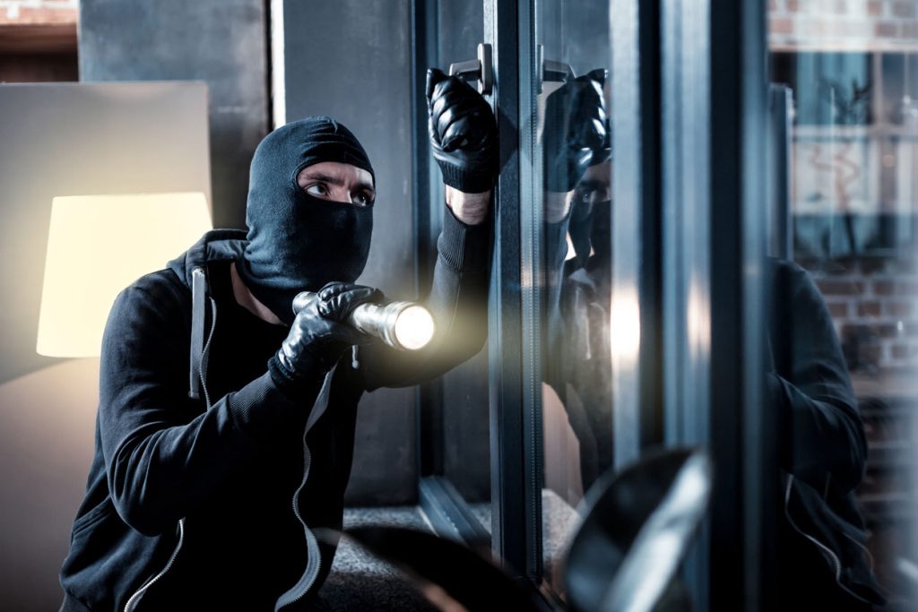 Weirdest Things That Thieves Love To Steal In A House