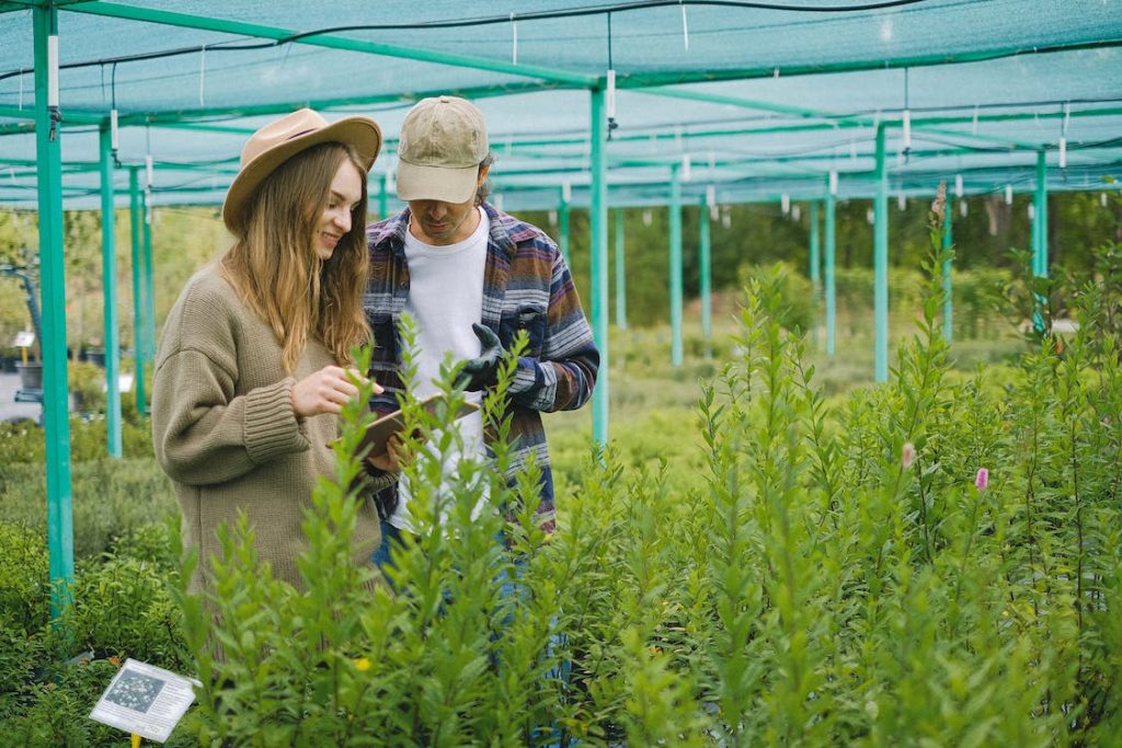 Have You Heard of the Automated Garden?